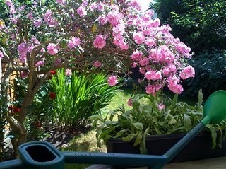 Media_http3bpblogspot_xynbv